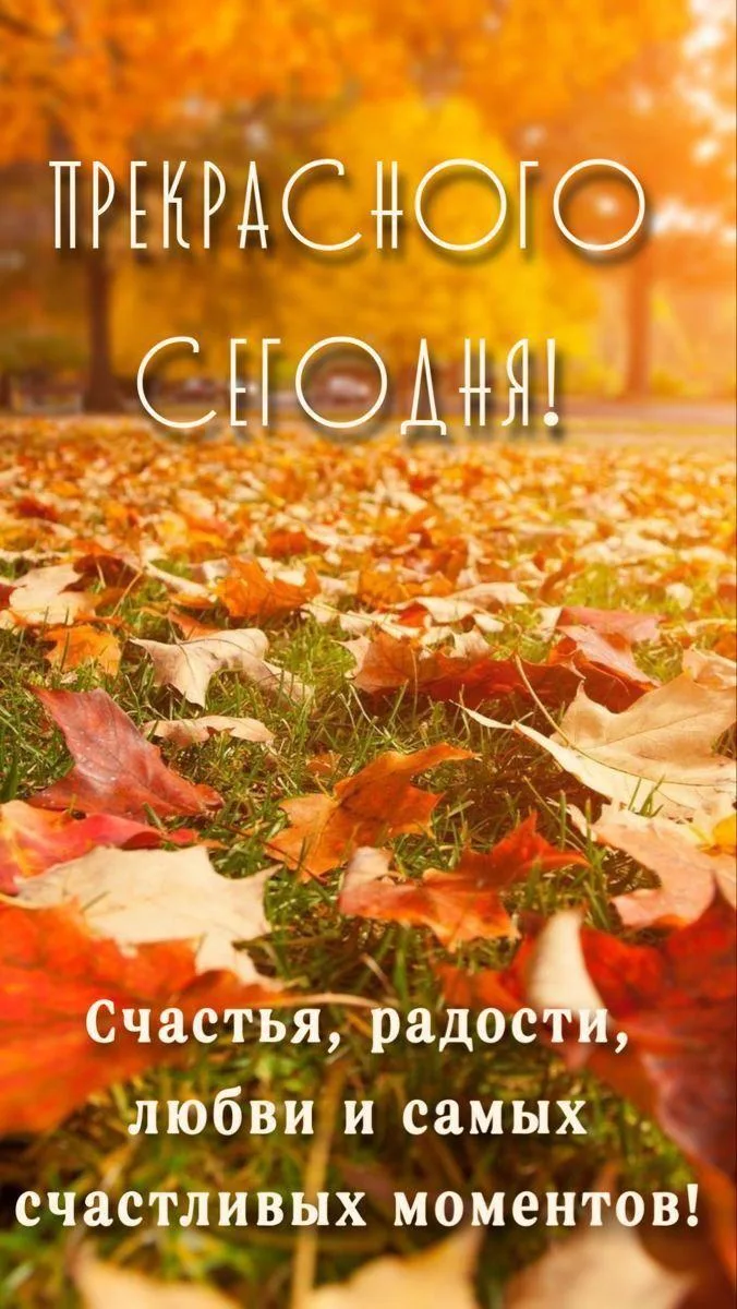 Счастье без масок, право на любую погоду внутри