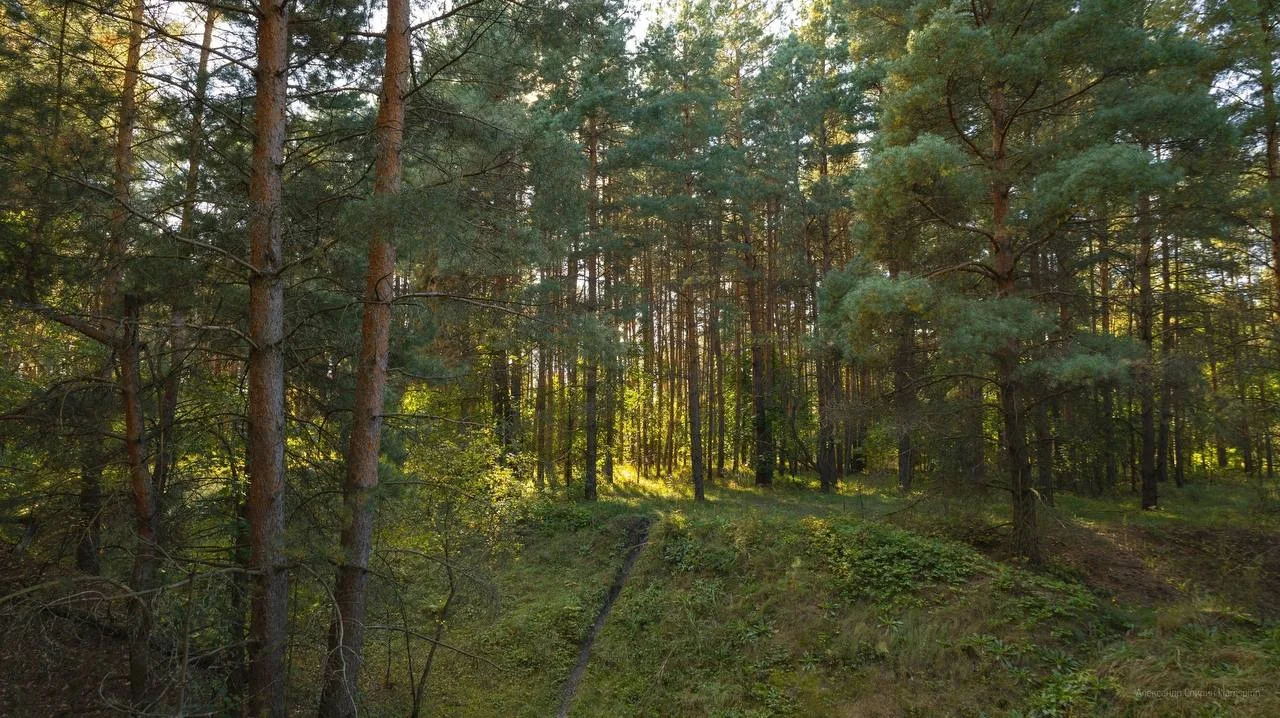 Красоты родного края😍