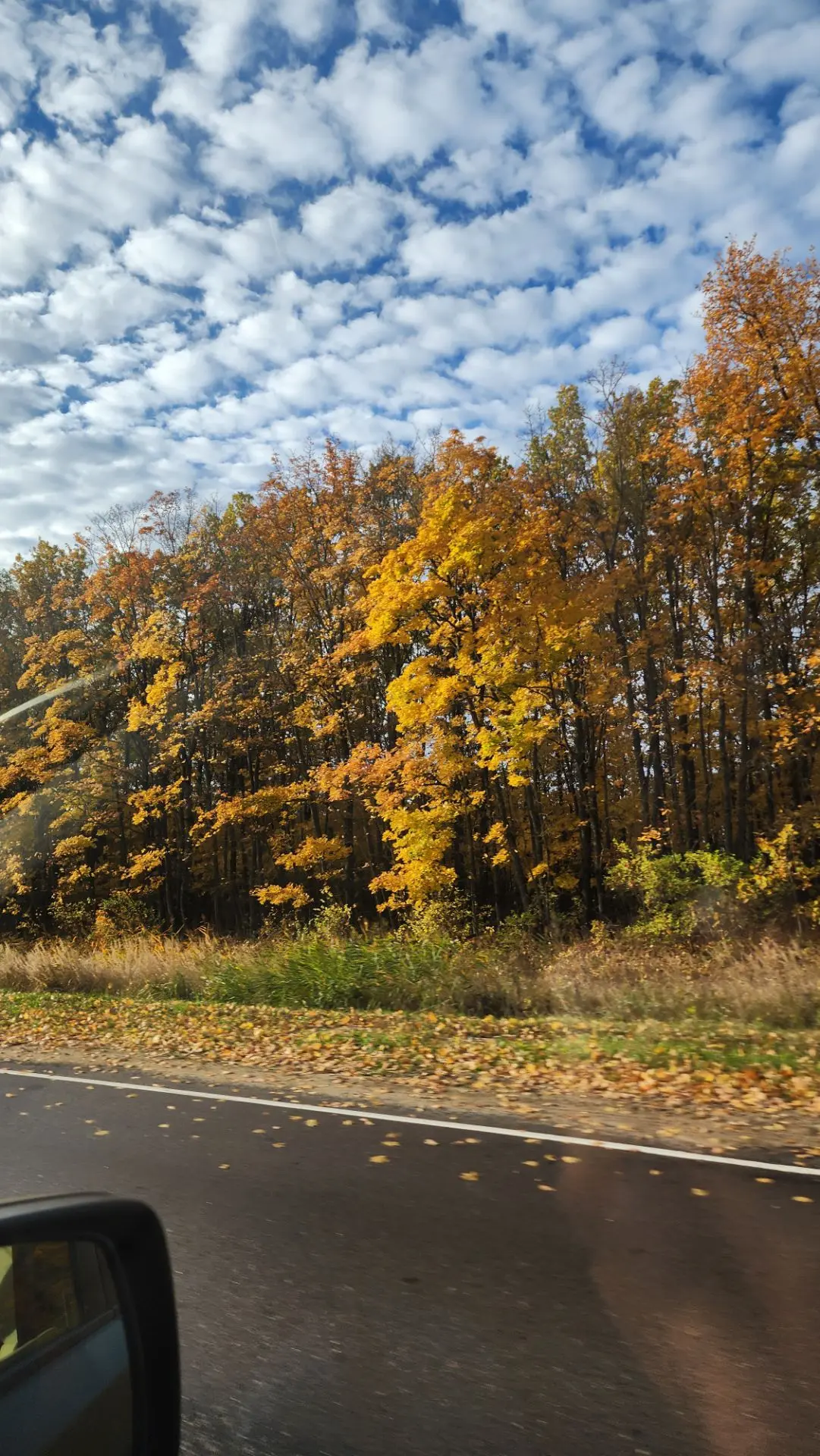 🍁🍂🌞
