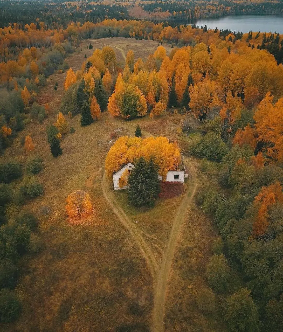 Где-то в полях Карелии 🍁