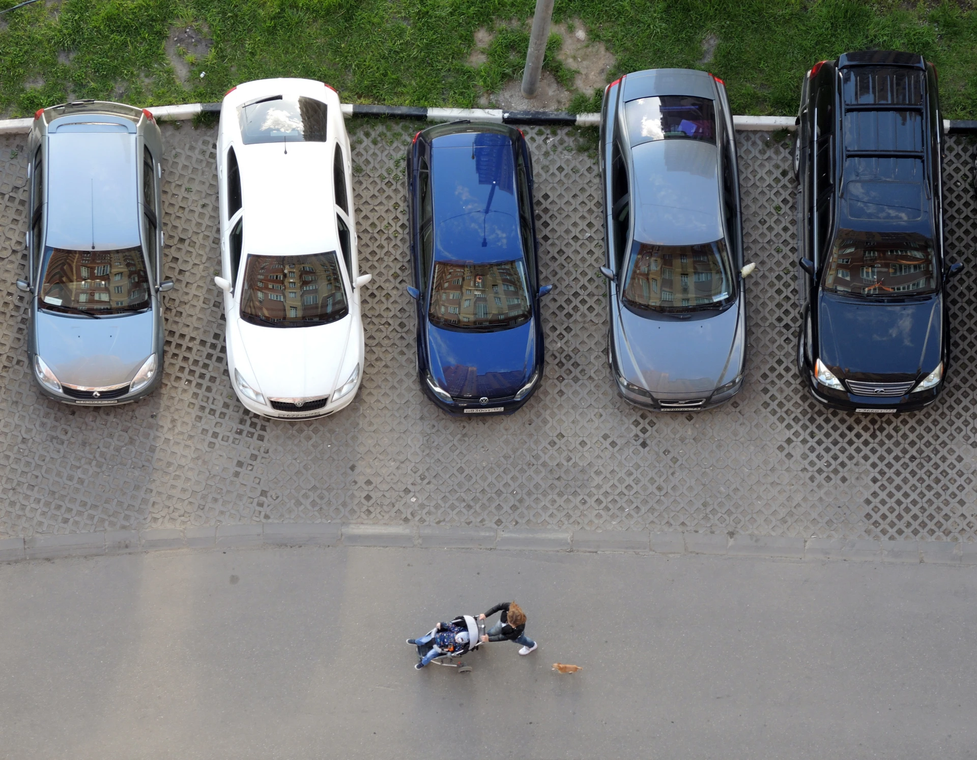 🚗 В России появится отдельный знак парковки для многодетных семей