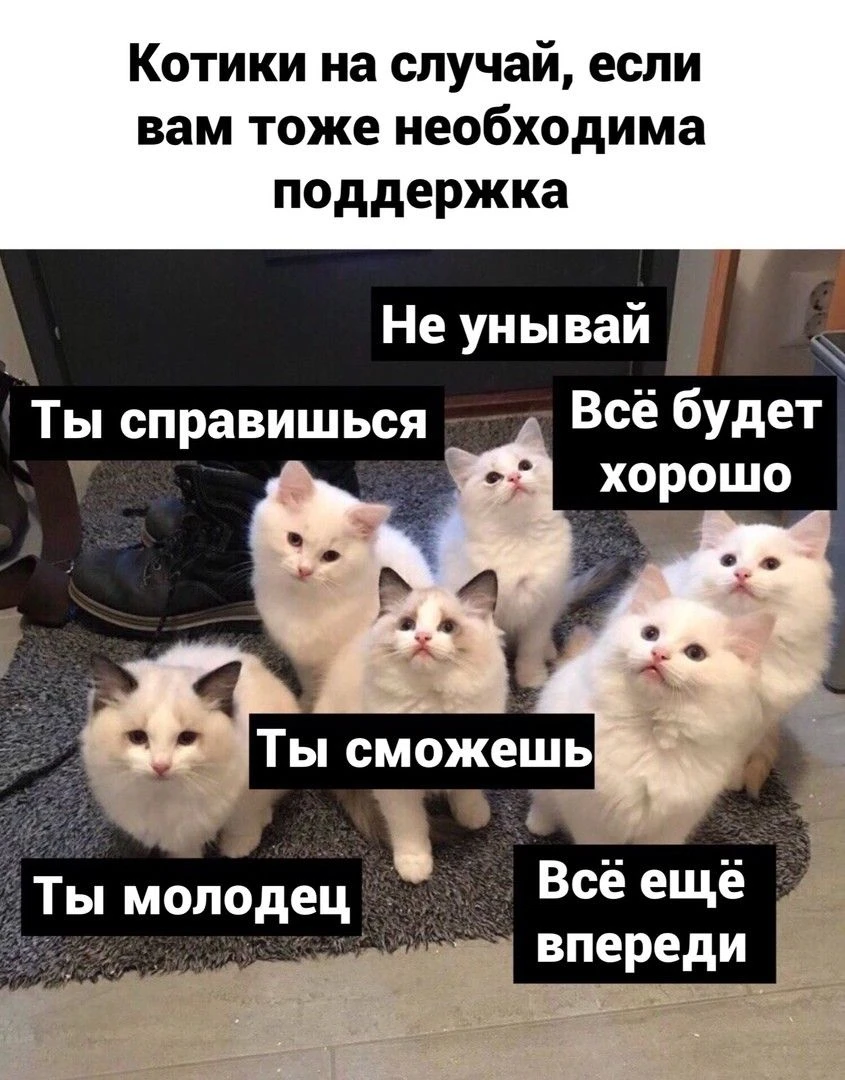 не унывай 🙃