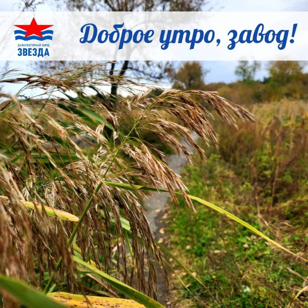 ☕Доброе утро, коллеги!