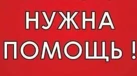 🙏Наши замечательные, неравнодушные жители округа! Обращаемся к вам с просьбой о помощи.