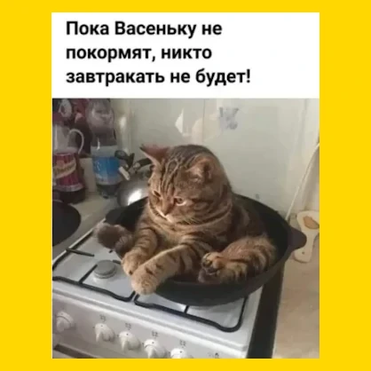 Полный Хохотамбл! Подпишись скорее
