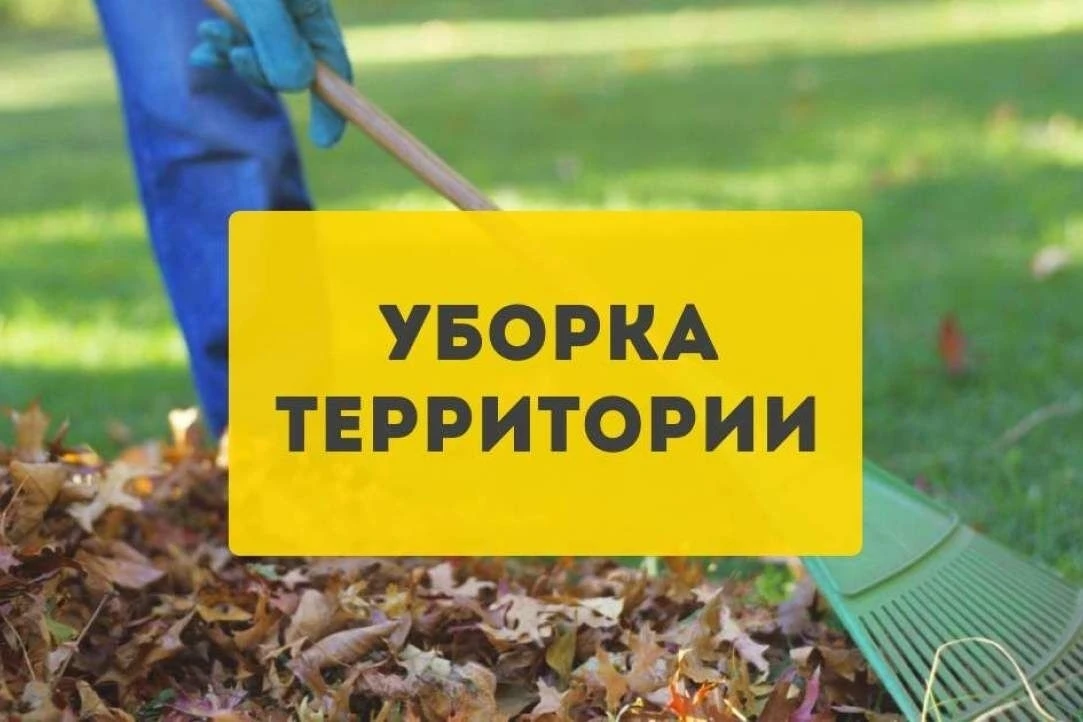 Уважаемые предприниматели и руководители организаций!