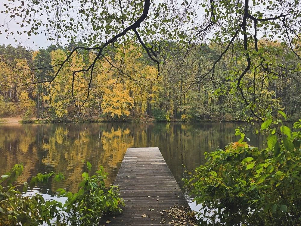 🍁 Доброе утро, Балашиха!