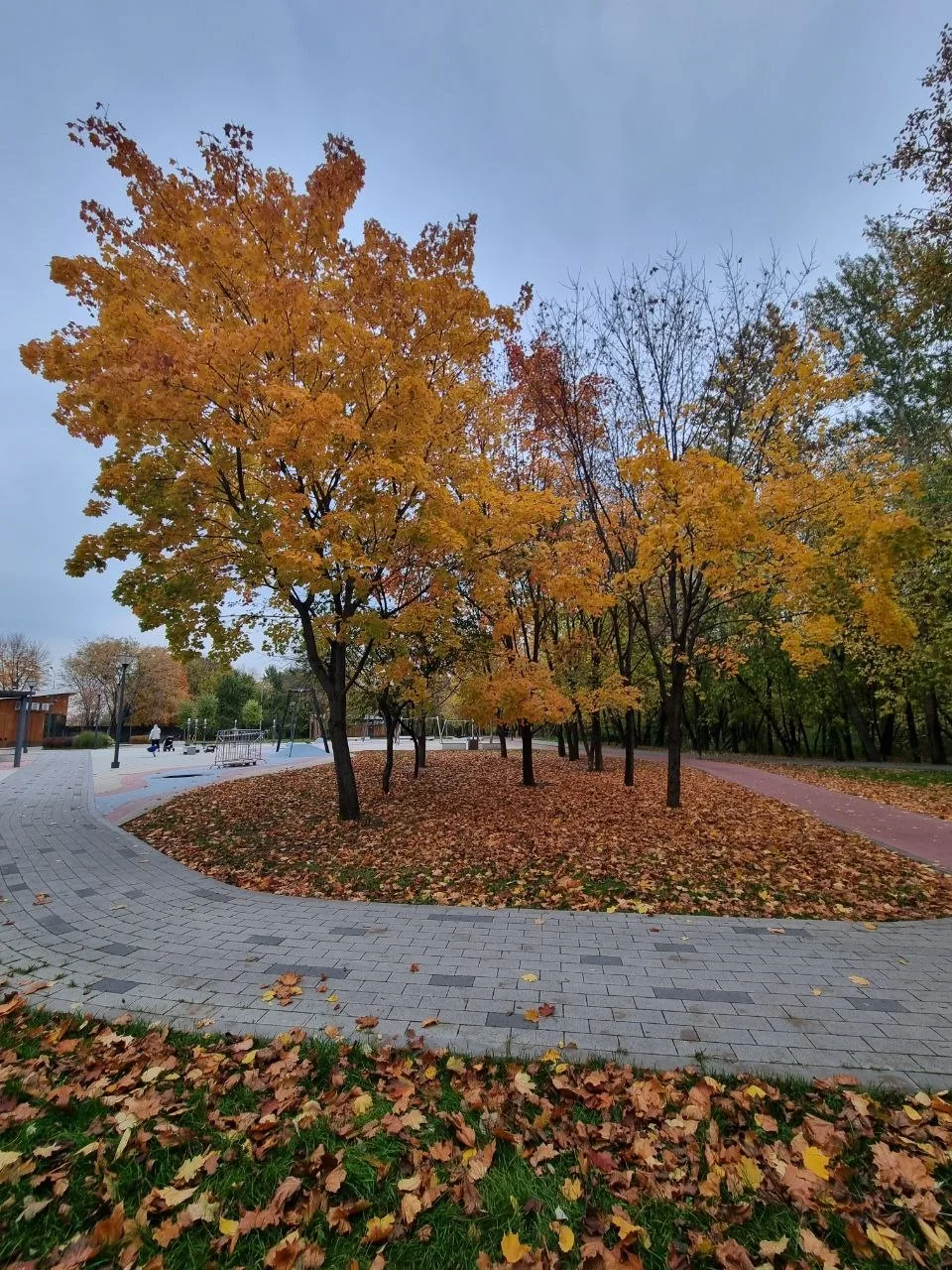 Золотая осень в кадре нашей подписчицы Анны. 📸