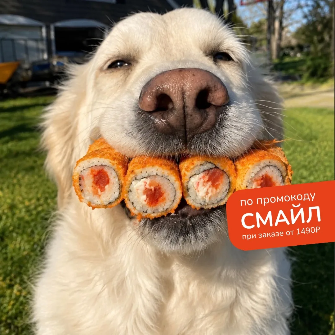 Улыбнись, ты прекрасен! 🤩