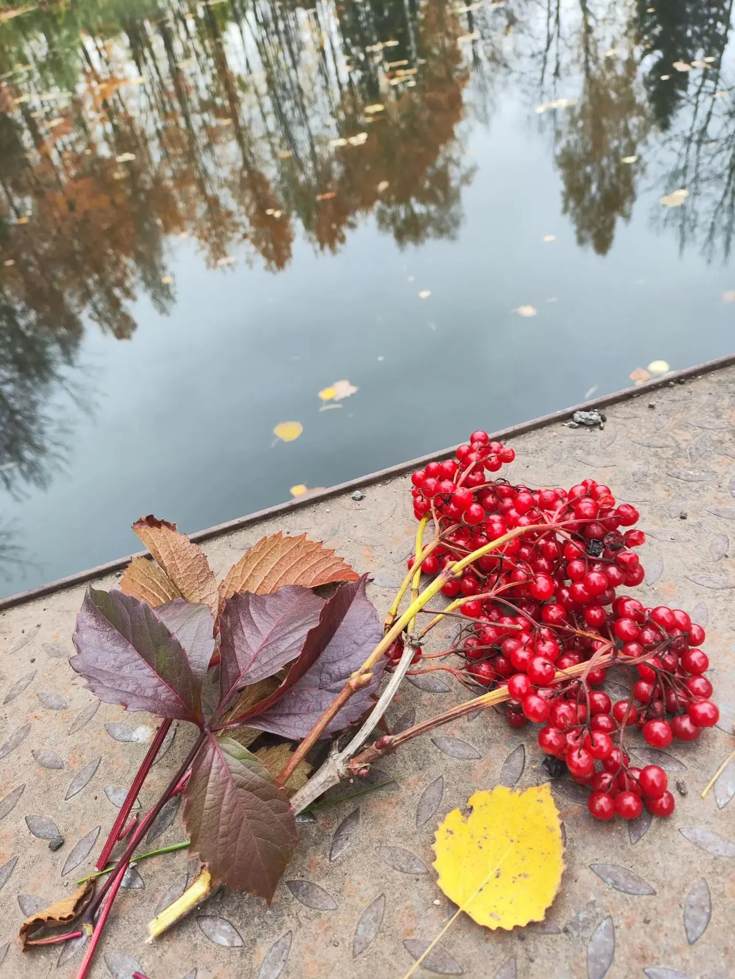 🍁ДОБРОЕ утречко, мои хорошие!