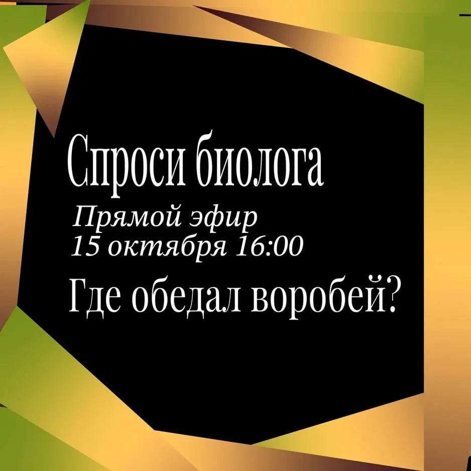 Биоэфир: «Где обедал воробей?»