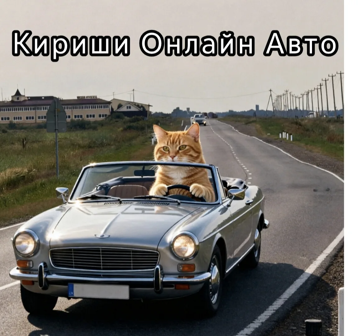 - АВТО 🚘