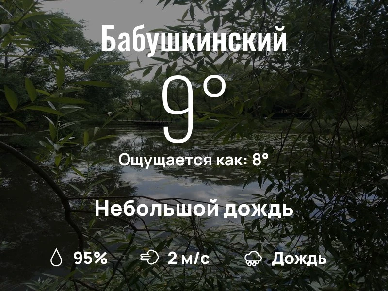 Что с погодой в Бабушкинском?