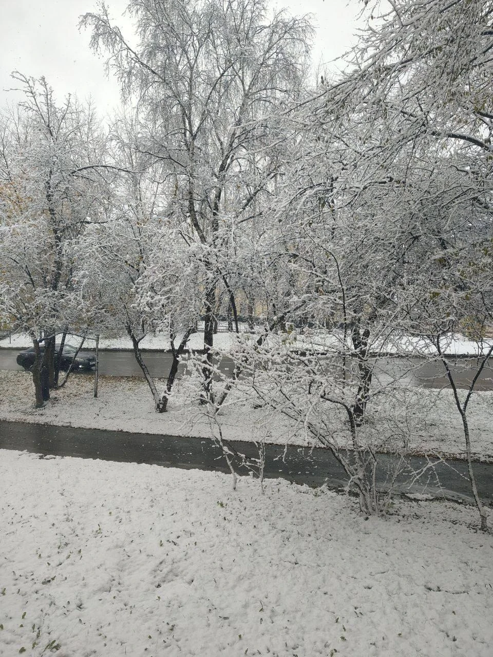 В Ачинске сегодня выпал первый снег ❄️