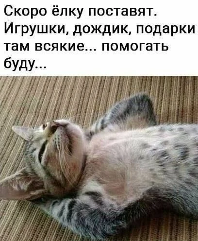 Девочки, ещё я знаете что заметила в магазинах? Только октябрь наступил, а в магазинах ...