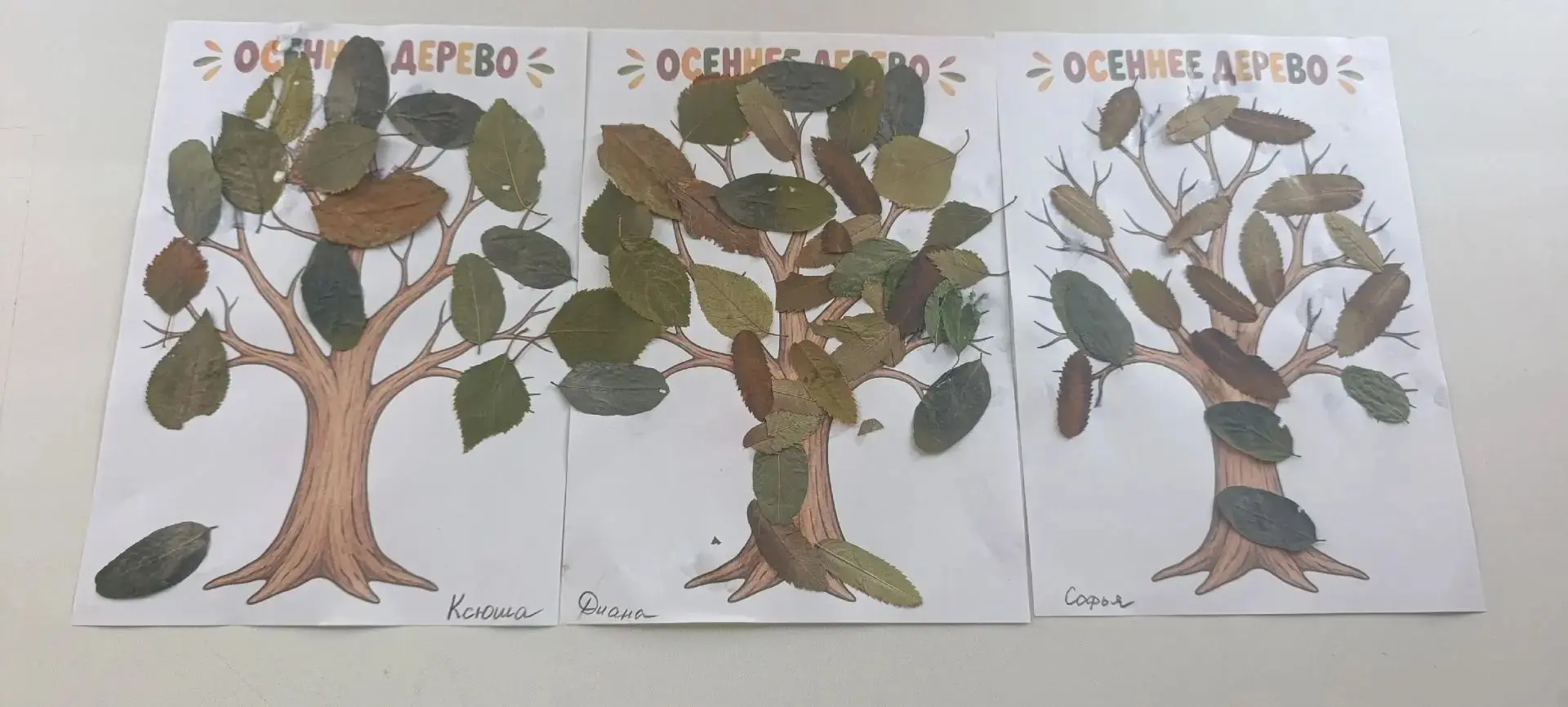 🍂 Творчество с пользой: развиваем пальчики вместе! 💛