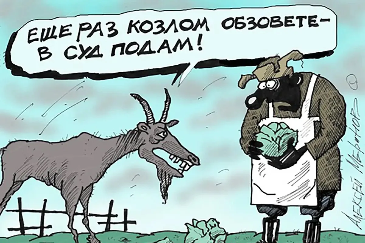 Москвичку оштрафовали на 3 тысячи рублей за то, что она назвала депутата «козлом».