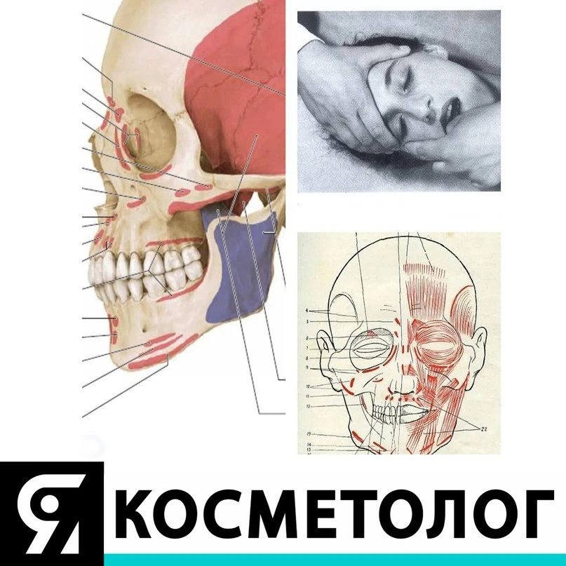 👇Костные техники в эстетическом моделировании лица.