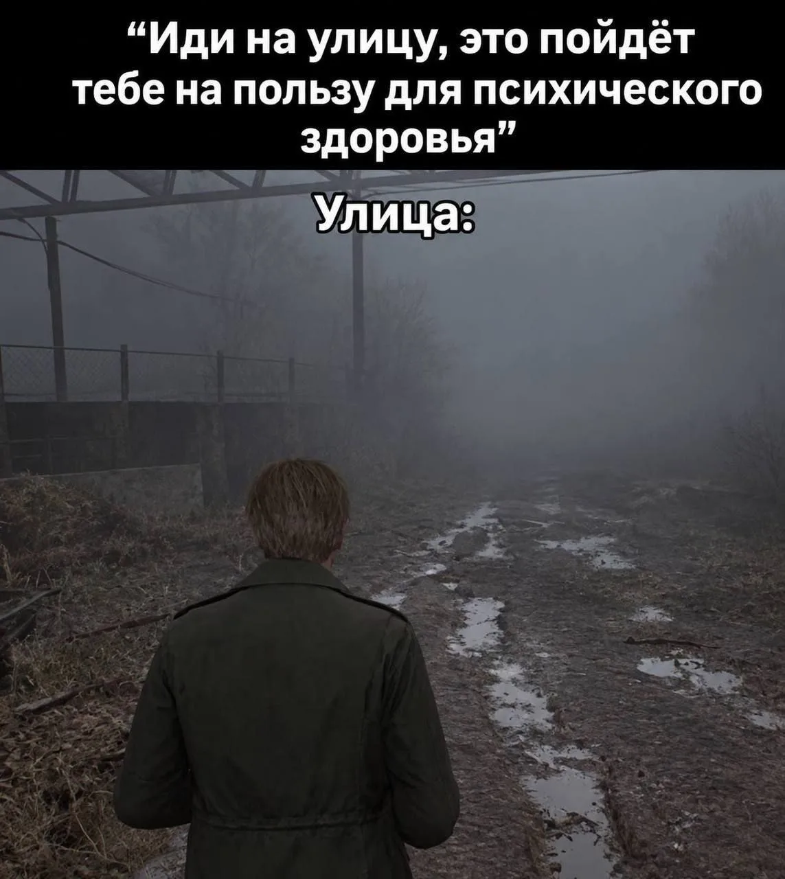 А у меня красивые улицы🍁🍂🍁