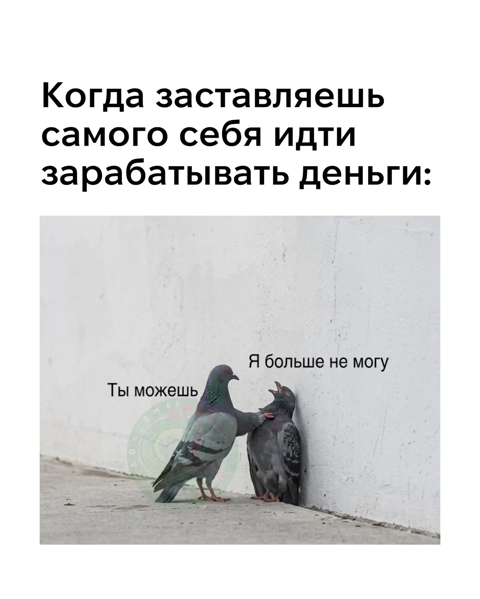пятница… доброе утро, мои золотые 🤭