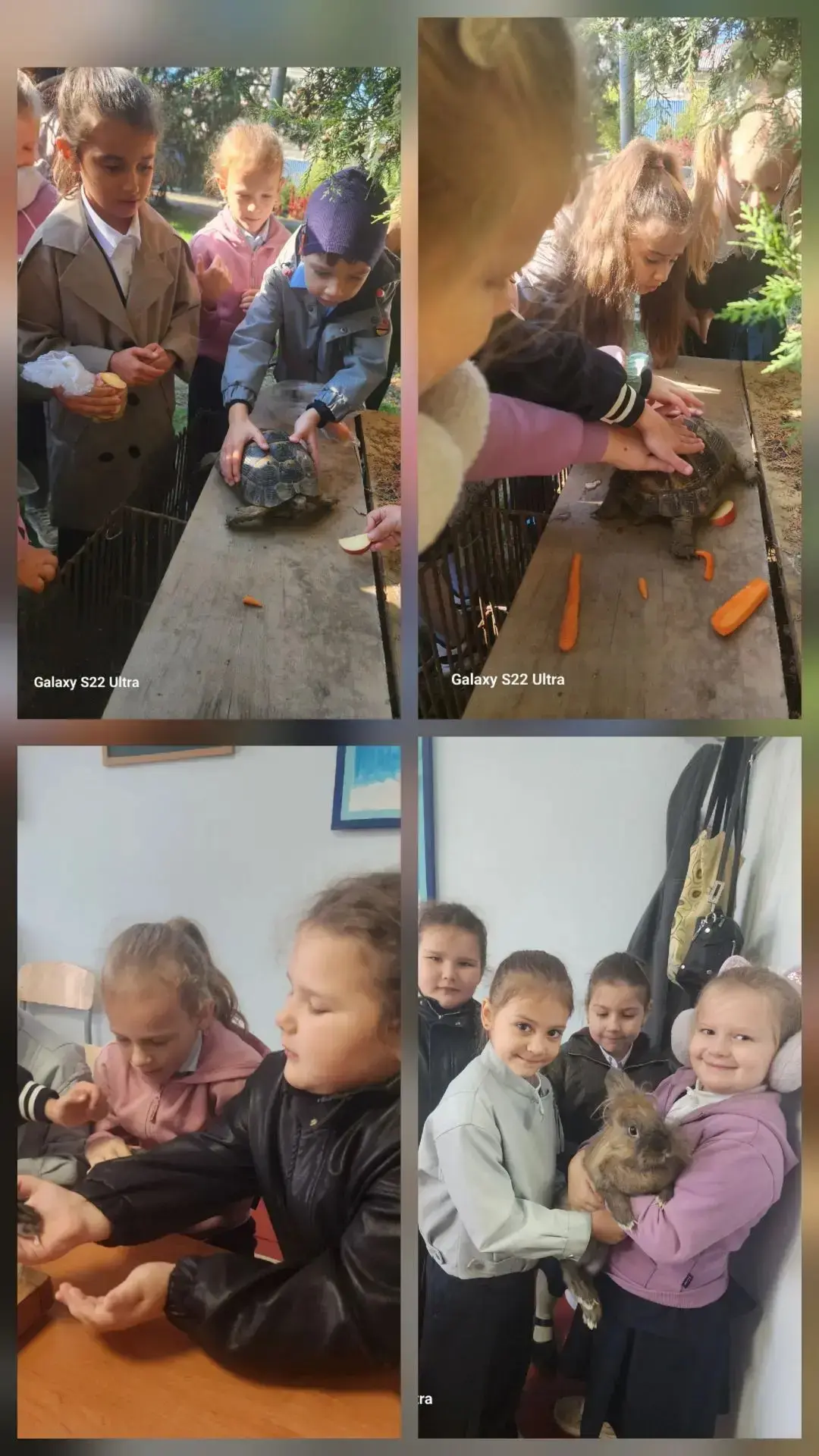 🐰 Трогательная встреча: первоклассники в гостях у пушистых обитателей Станции юннатов!