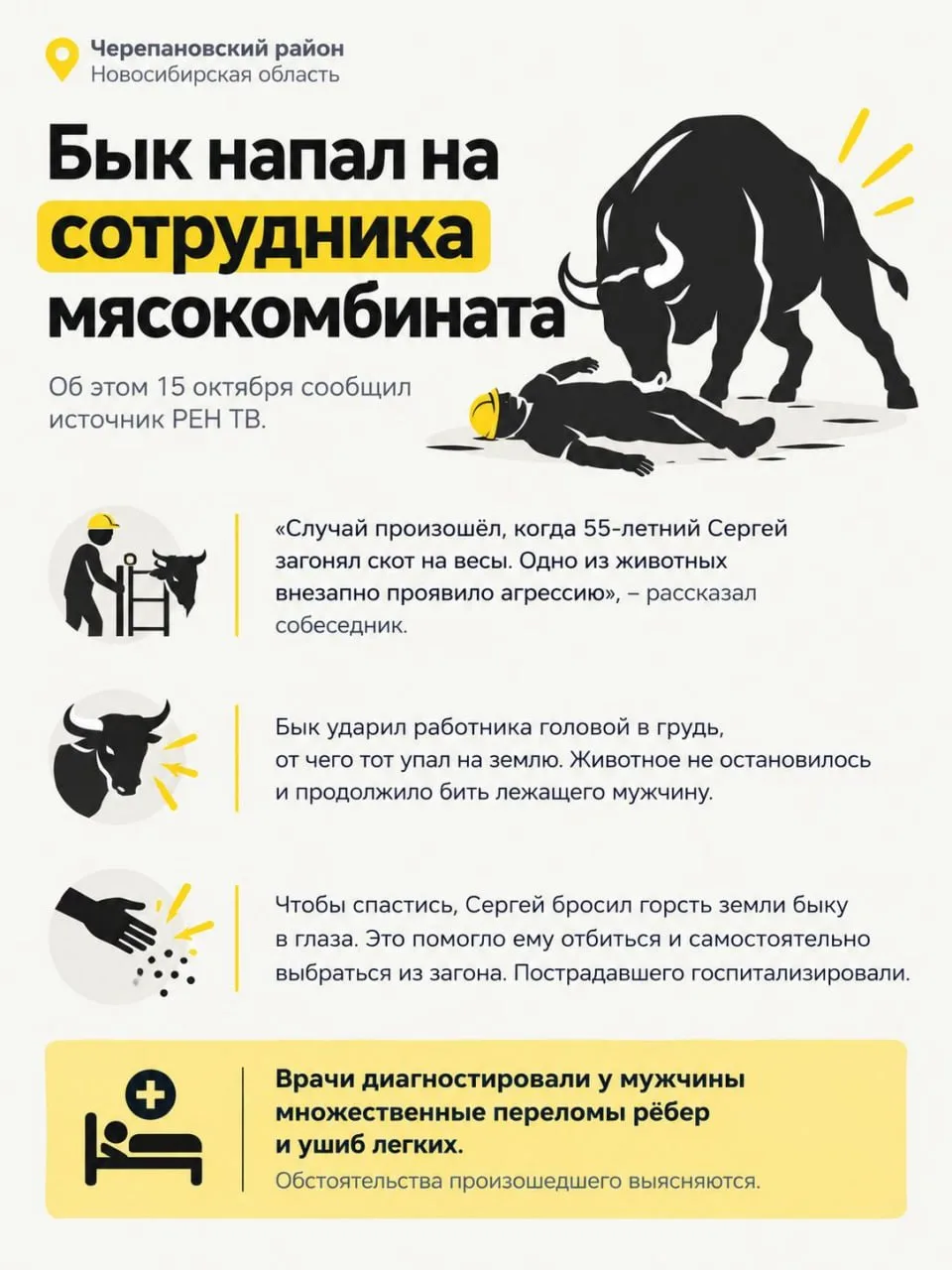 🐃 Агрессивный бык атаковал работника мясокомбината в Черепановском районе Новосибирско...