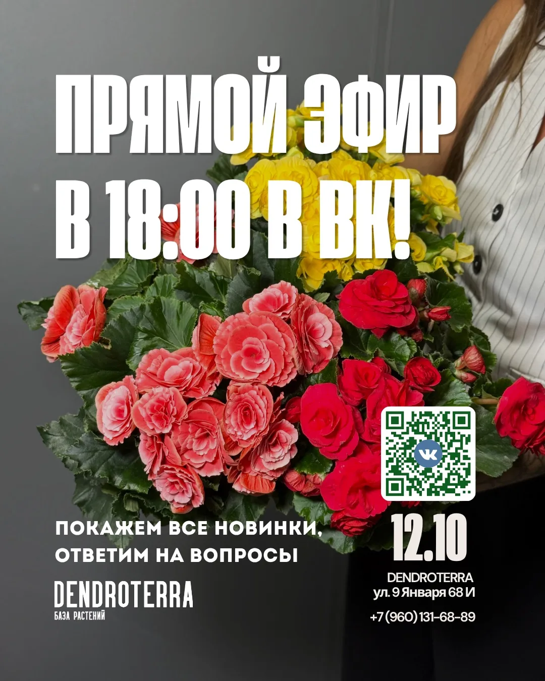 Вы даже не представляете, какую красоту нам привезли!