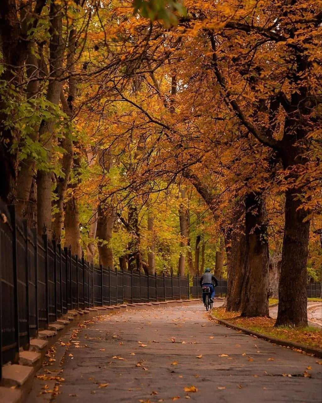🍂🌥️ Сегодняшний день начнётся с прохлады: на рассвете всего +7…+9°C, у моря чуть тепл...