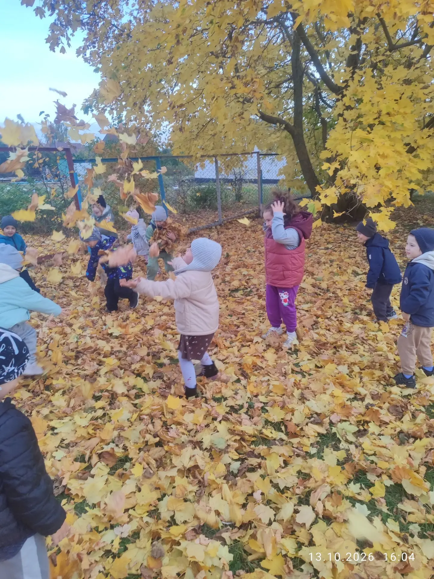 Листья золотые падают, летят,