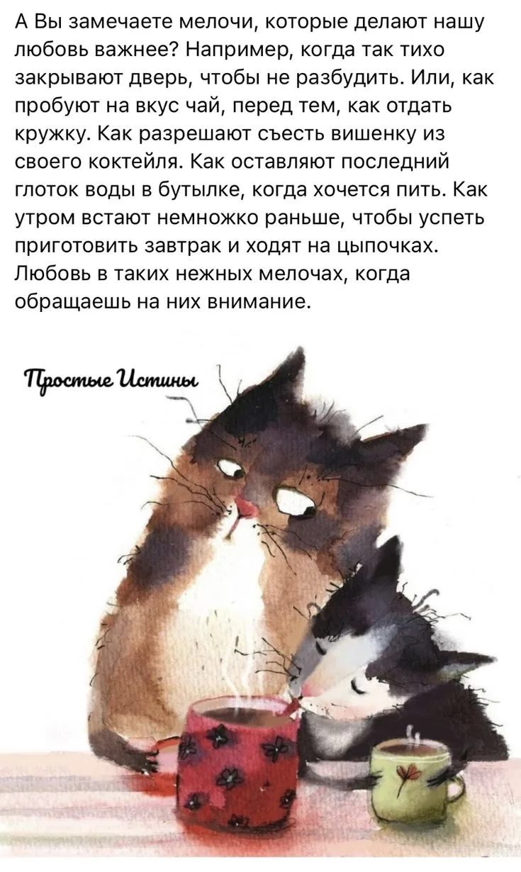 Любите. Просто любите...