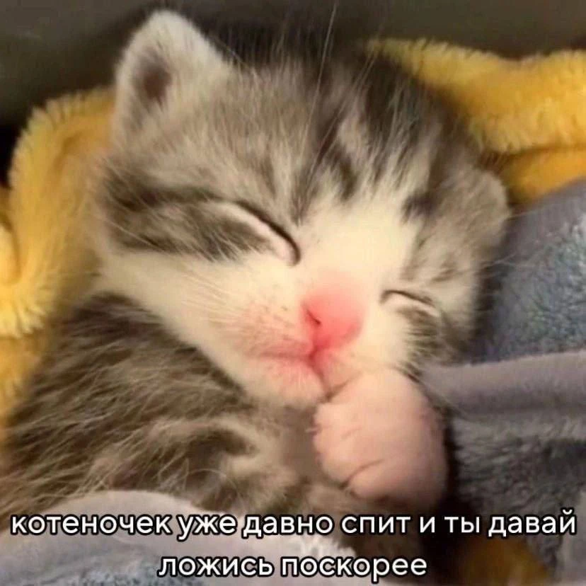 МЕМАСНАЯ