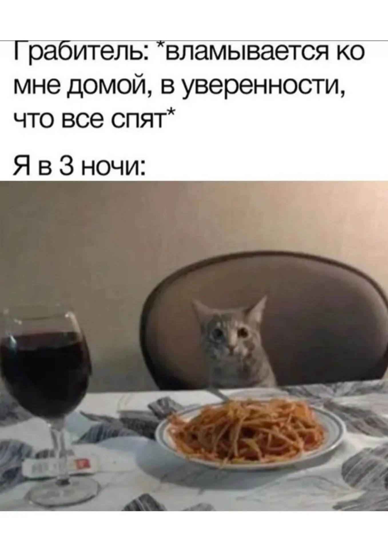 Мягкий кот