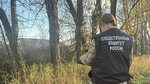 В Петербурге возбудили дело об убийстве после обнаружения останков человека