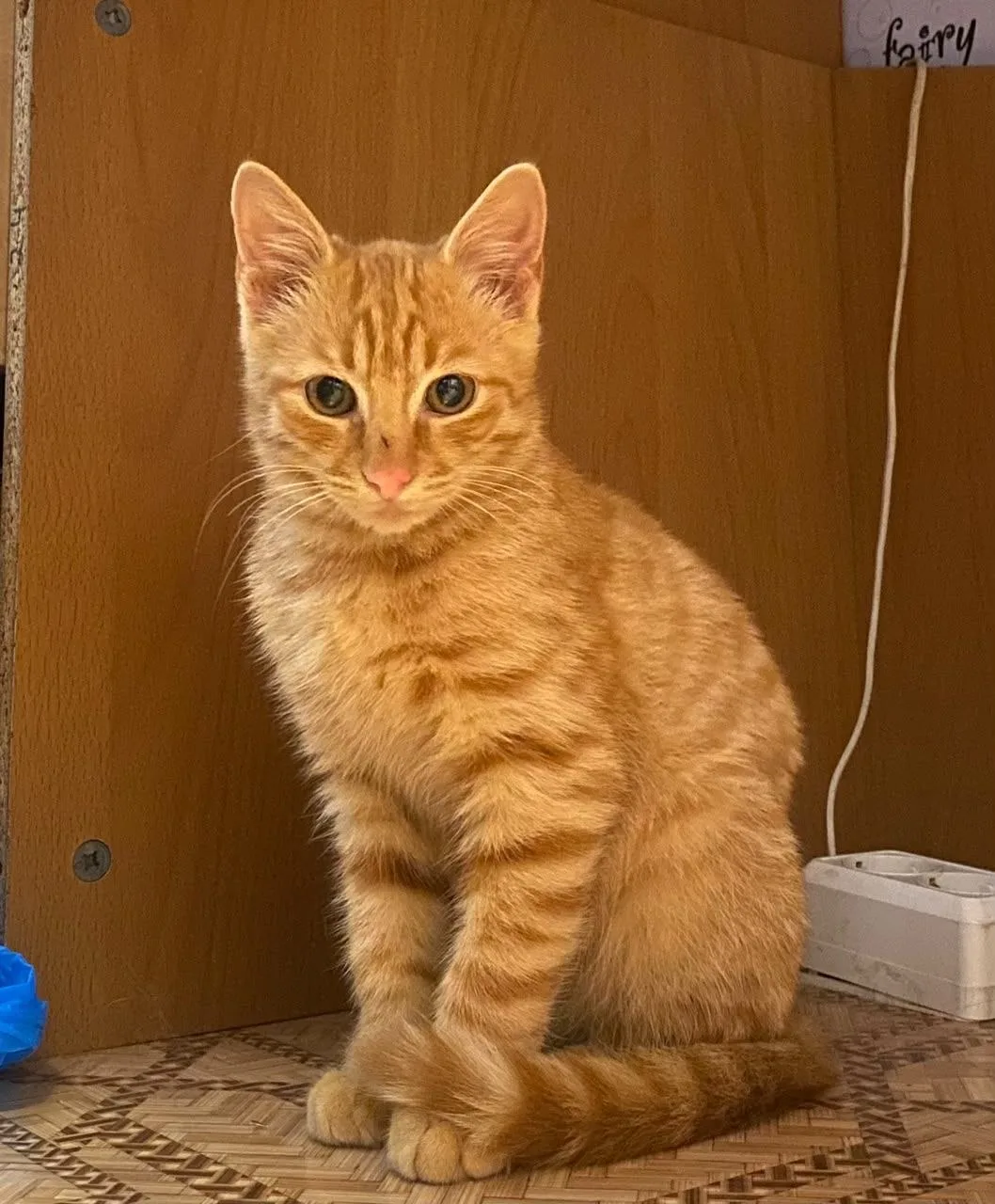 Мальчик, 2,5 мес.
