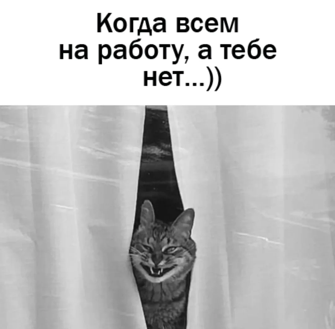Кто завтра отдыхает, ставьте 👍