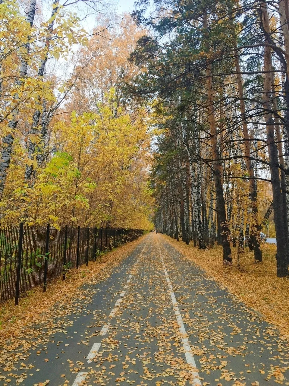 Осенняя прогулка по Гагаринскому парку