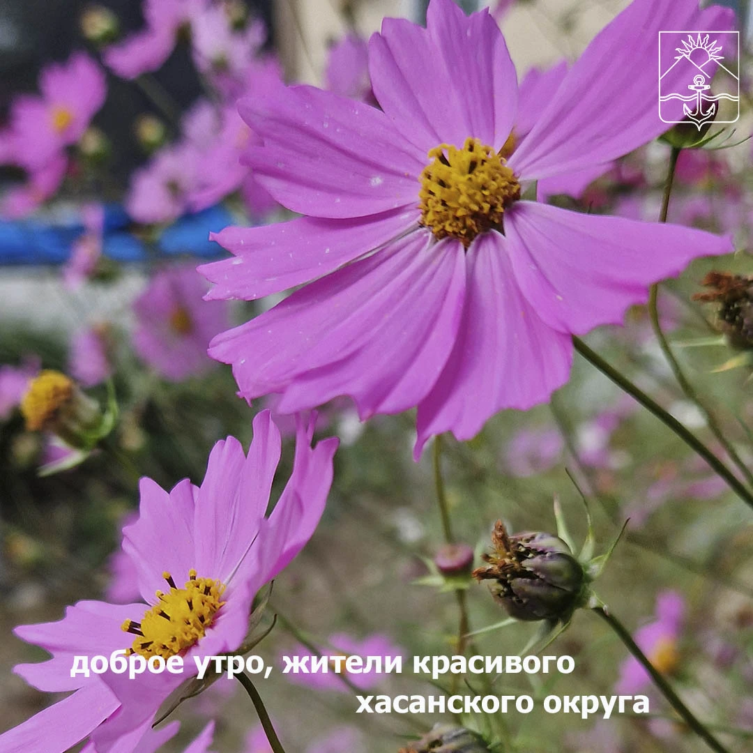 🌤Сегодня малооблачно