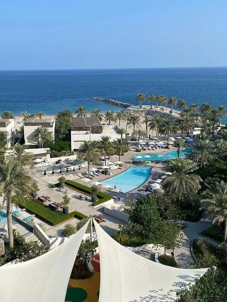 🇦🇪 Отель в Фуджейре с красивым пляжем, черепашками и видом на горы!