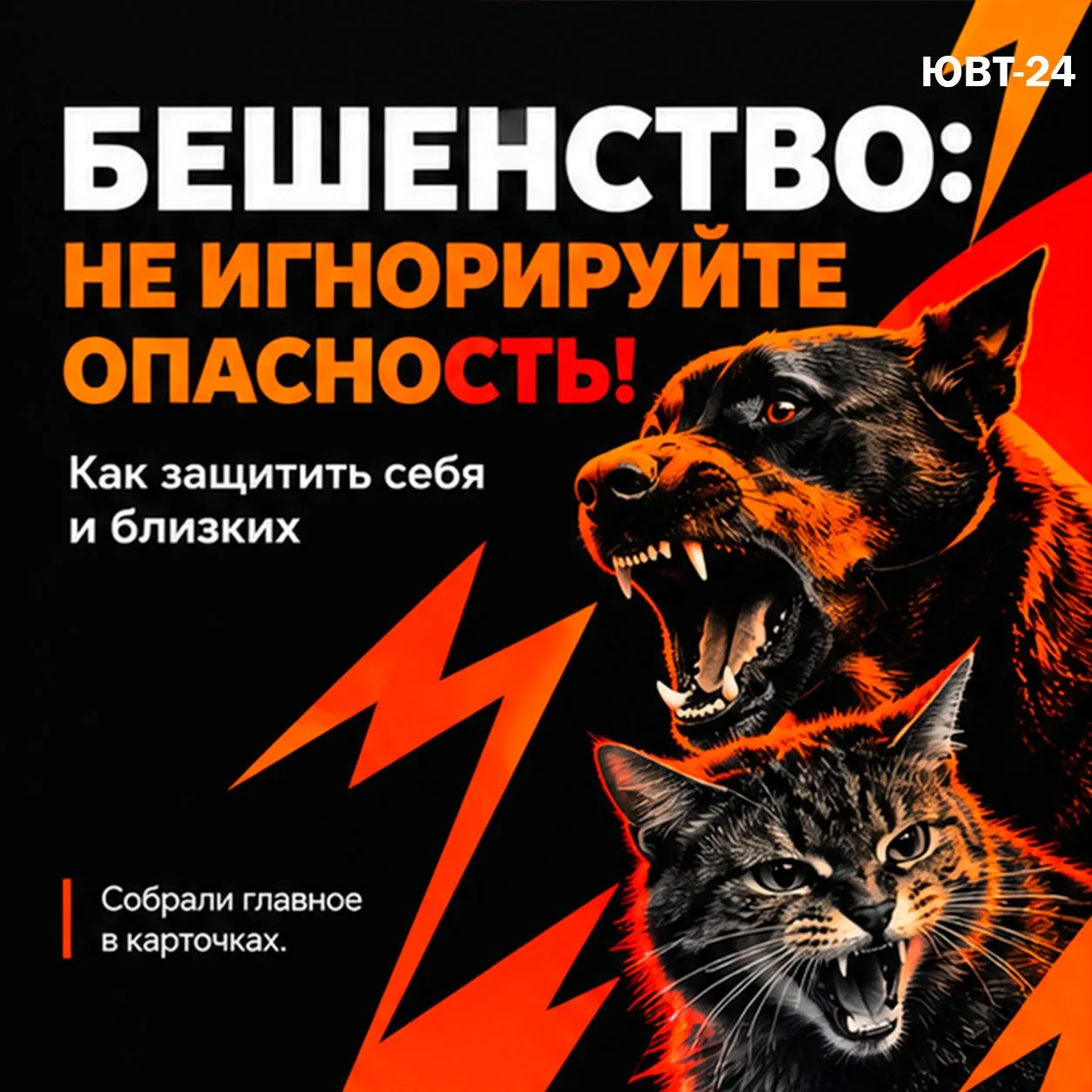 Бешенство — опасное заболевание, при котором промедление может стоить жизни. Даже небол...
