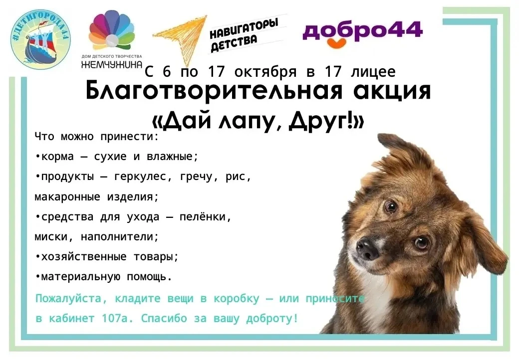 🐾 ДАЙ ЛАПУ, ДРУГ! 🐾