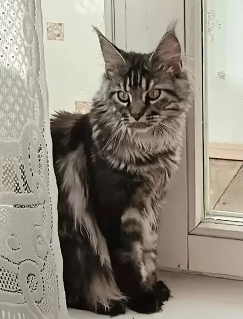 ПОТЕРЯШКА