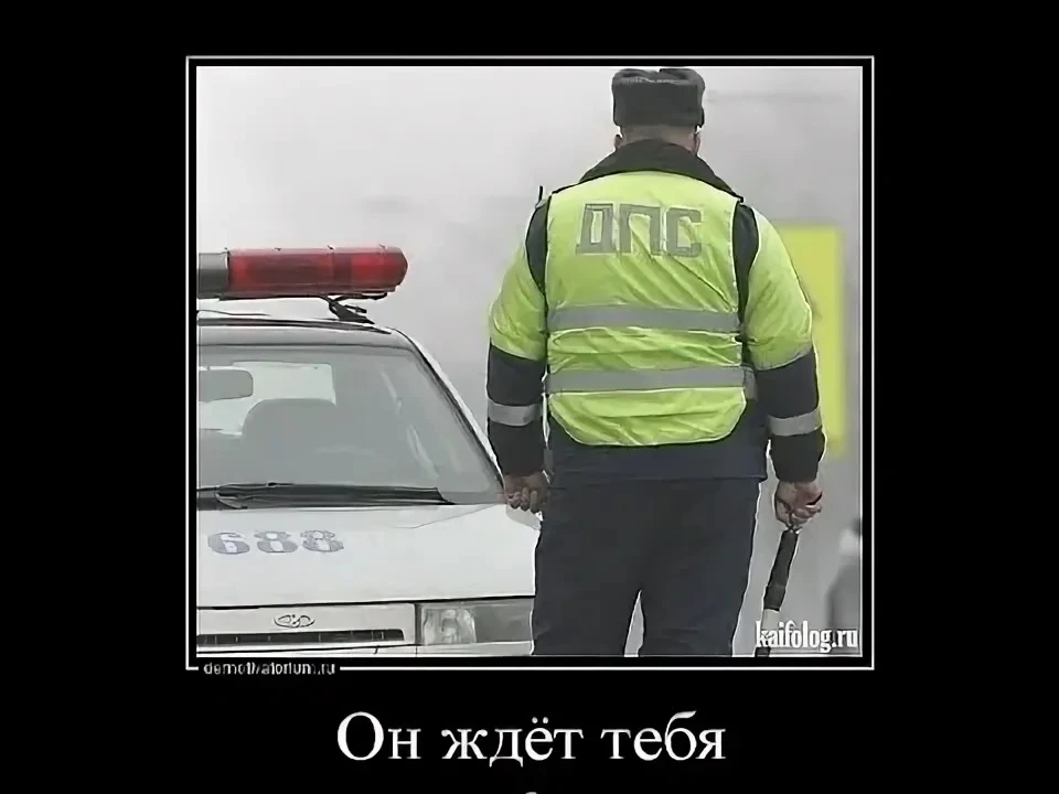 Внимание, внимание ‼️