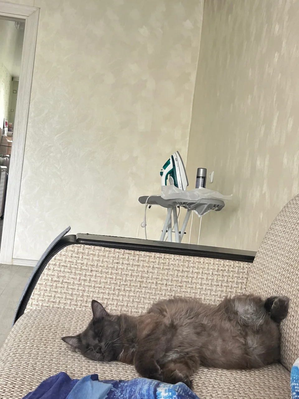 📸 Продолжаем рубрику «Четвероногий фоторепортаж»​