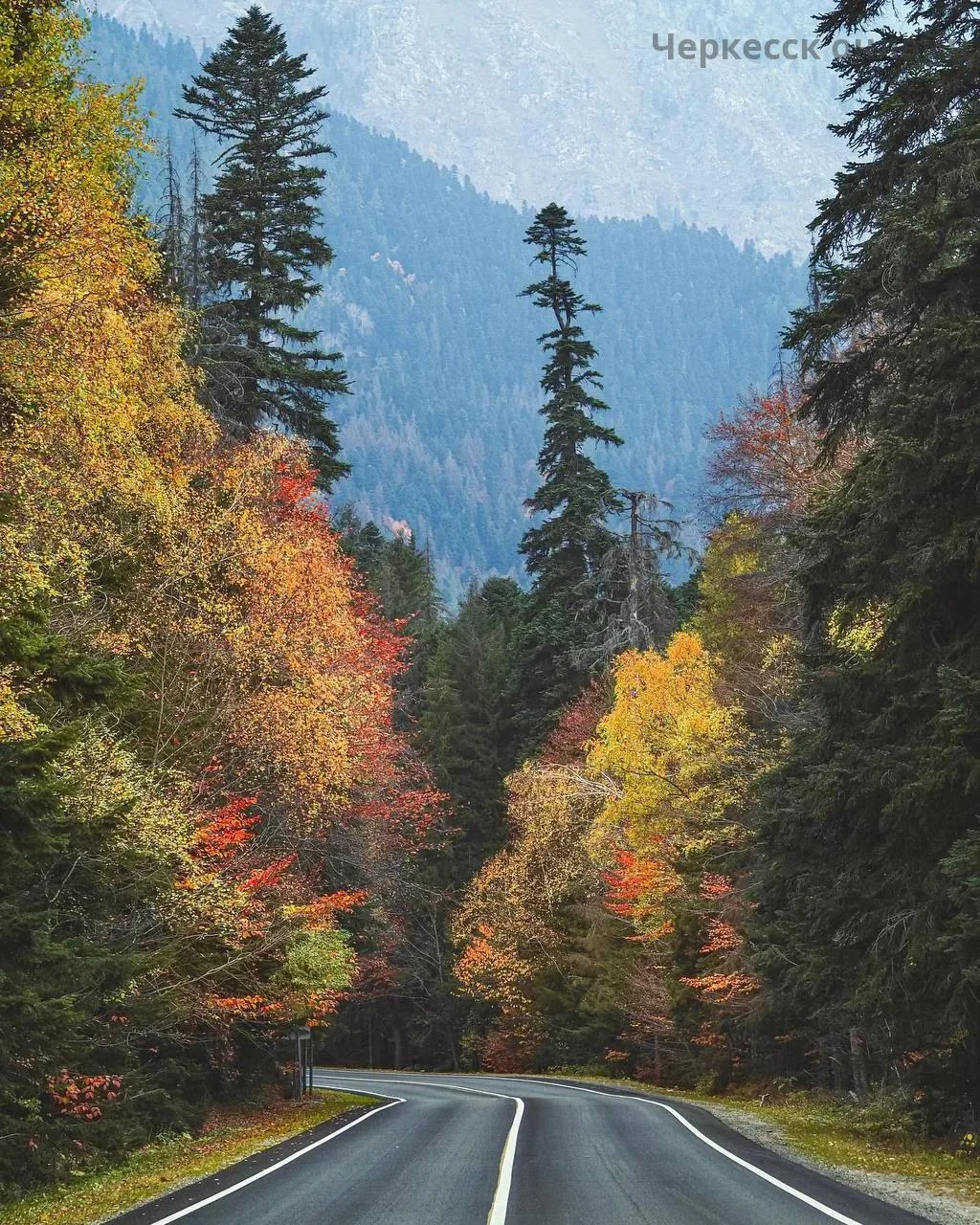 🍂 Осень в Домбае и Теберде особенно красива!