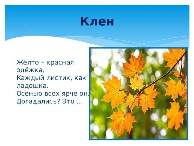 🍁ШКОЛЬНЫЕ НОВОСТИ