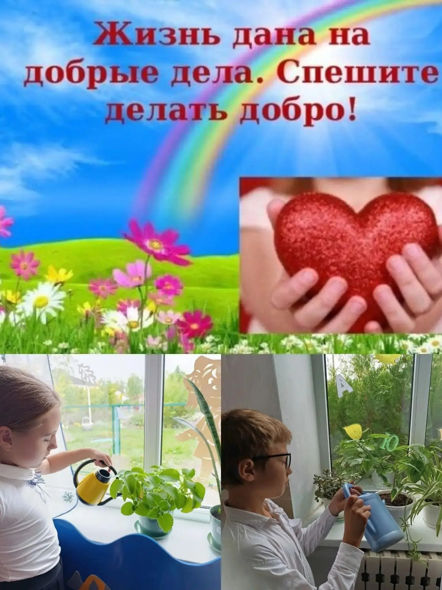 В 1,3 классах очередной классный час был посвящен доброте. На уроке дети слушали стихи,...