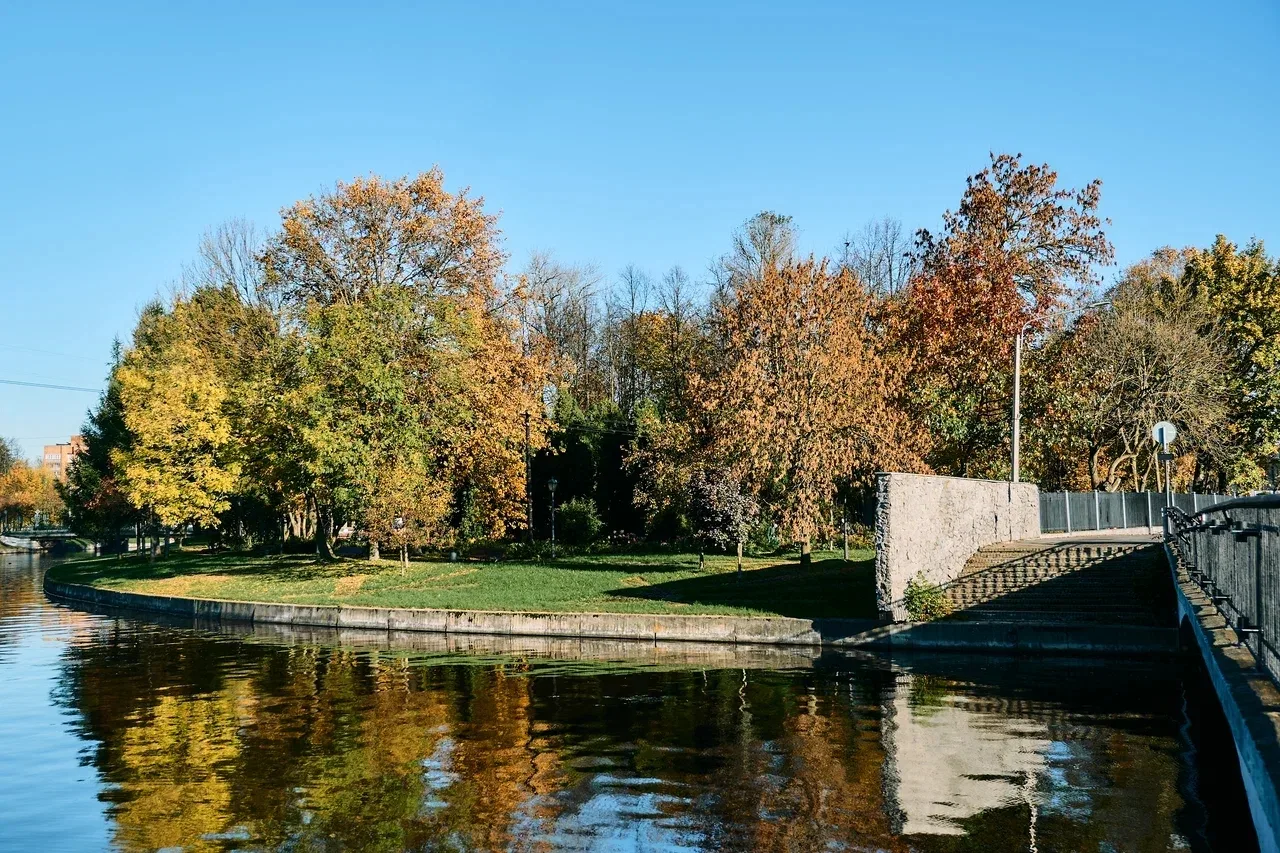 Доброе утро, Колпинский! 🍂