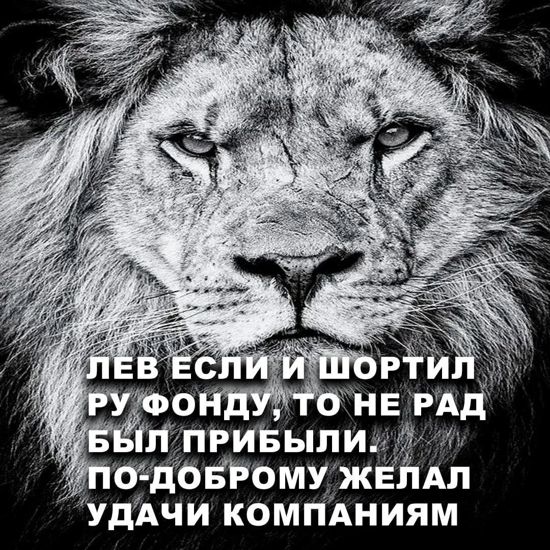 Яндекс падает уже на 5% за сегодня.