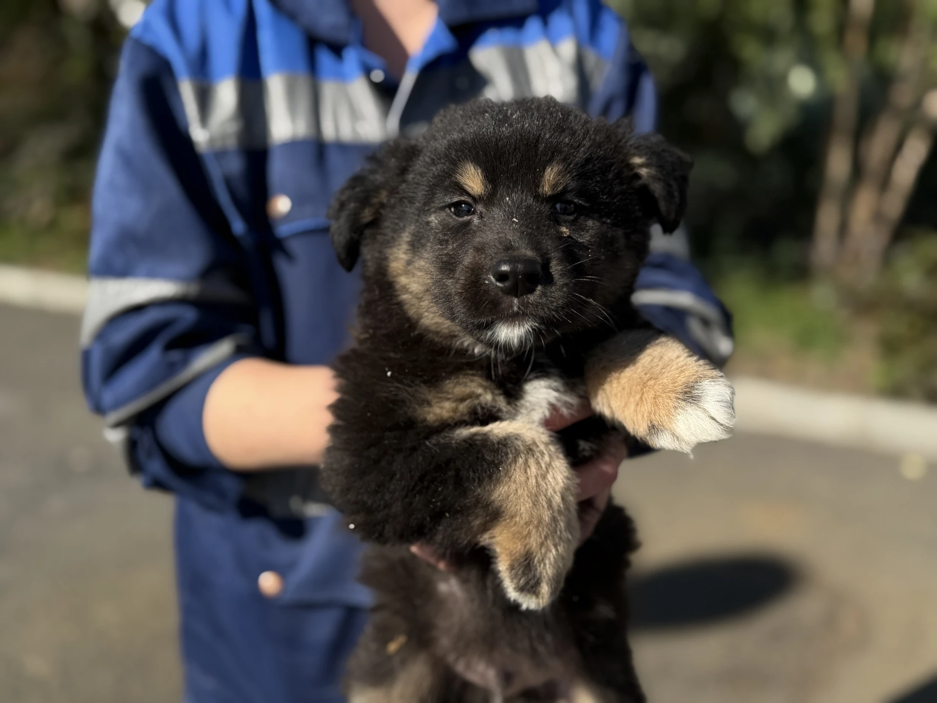 🐾 Уже 17 октября! Ждём вас на выставке-раздаче «Пойдем домой»