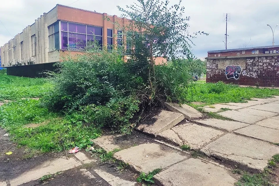 В Тольятти объяснили, почему не ремонтируют разбитую пешеходную зону на улице Революцио...